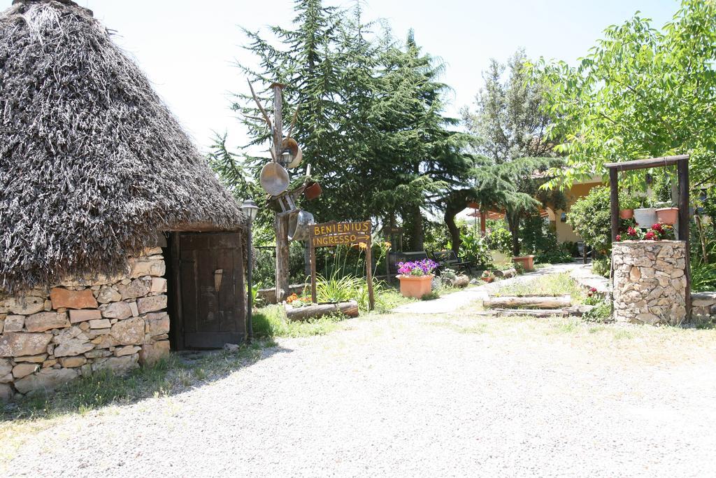 Agriturismo Ticci Seùlo Exterior foto