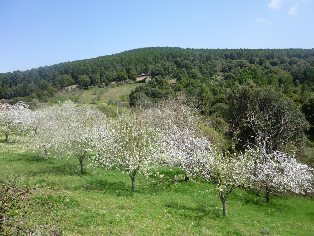 Agriturismo Ticci Seùlo Exterior foto