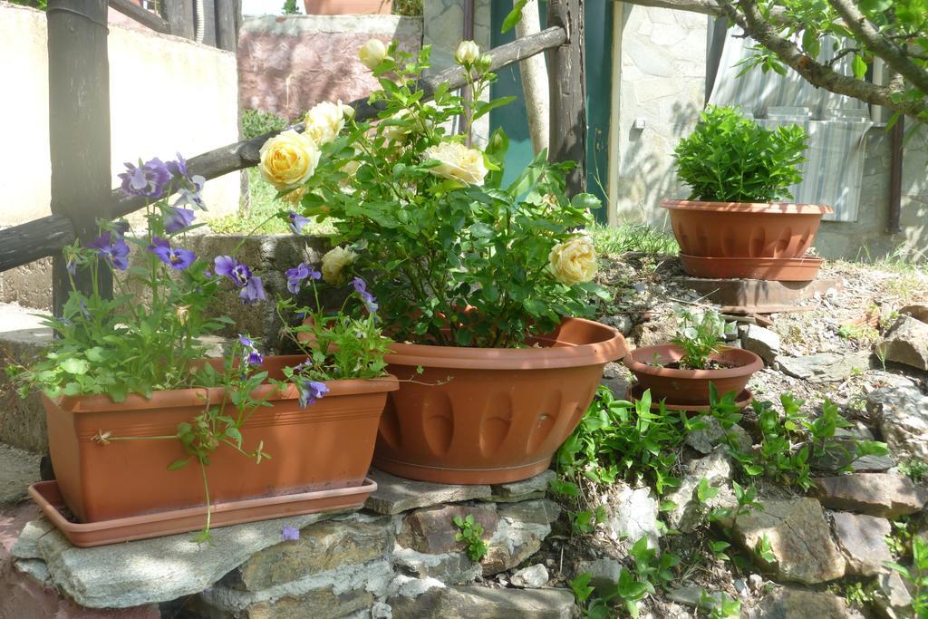 Agriturismo Ticci Seùlo Quarto foto
